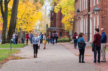 ddos网页在线攻击